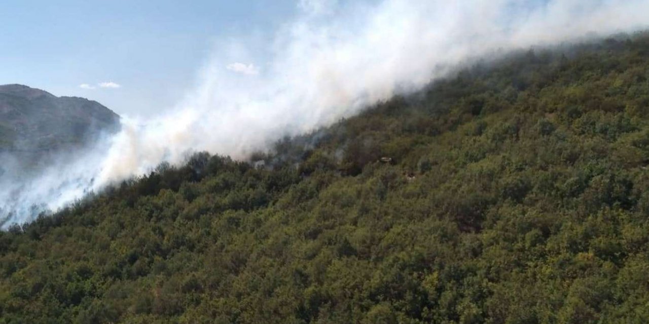 Bitlis'in Mutki ilçesinde çıkan yangın kontrol altına alındı