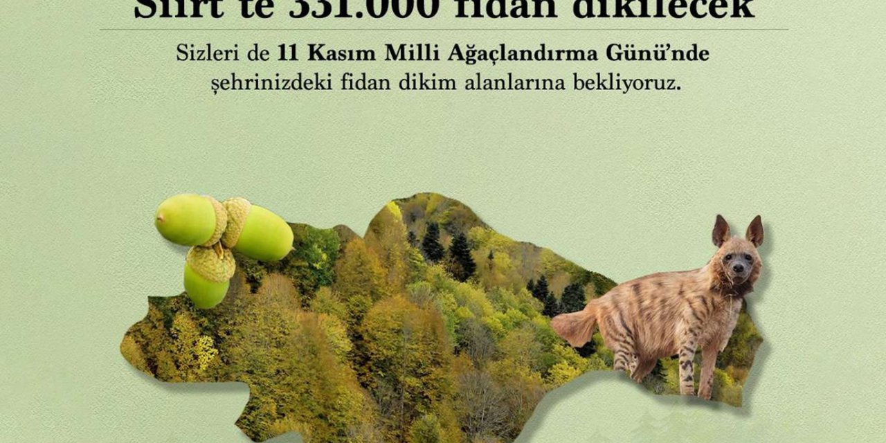 Bakan Pakdemirli'den fidan dikim çağrısı