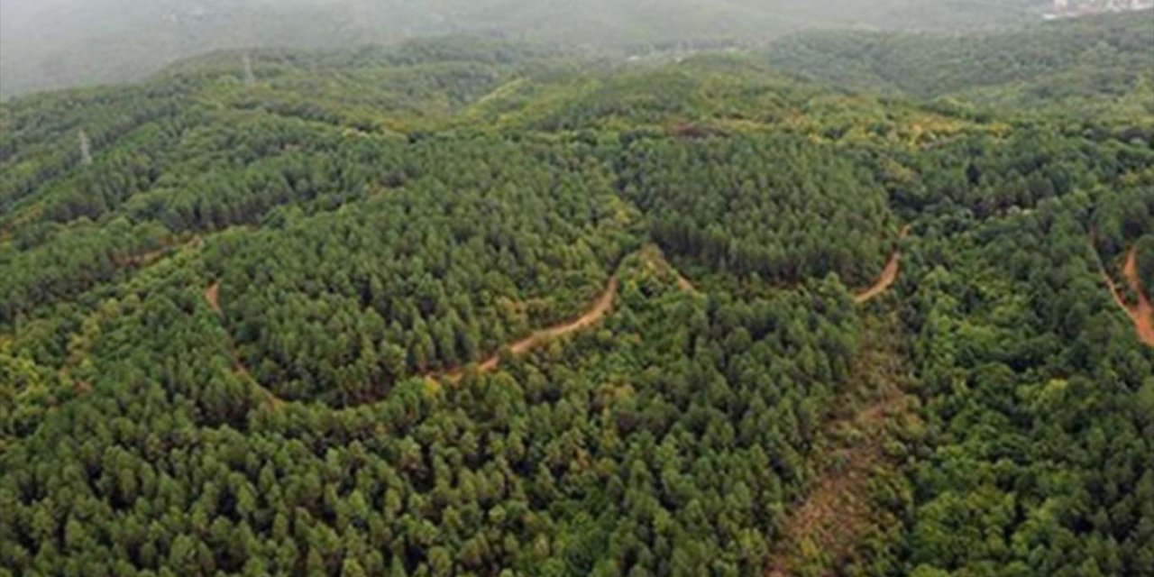 Karabük'te ormanlara giriş kısıtlaması 30 Eylül'e kadar uzatıldı