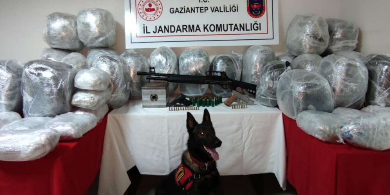 Gaziantep'te 131 kilogram esrar ele geçildi
