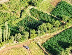 Diyarbakır'da büyük uyuşturucu operasyonu