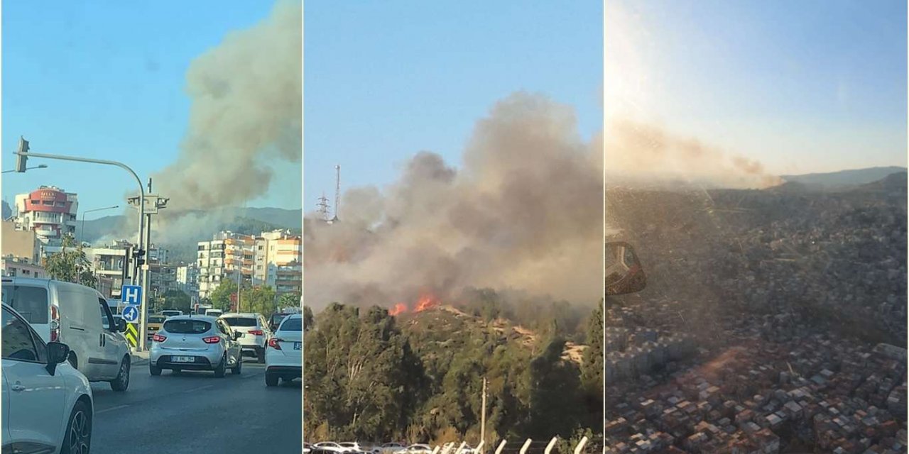 İzmir'deki orman yangını kontrol altına alındı