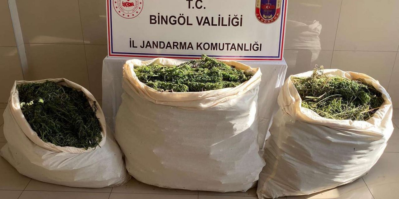 Bingöl kırsalında uyuşturucu ele geçirildi