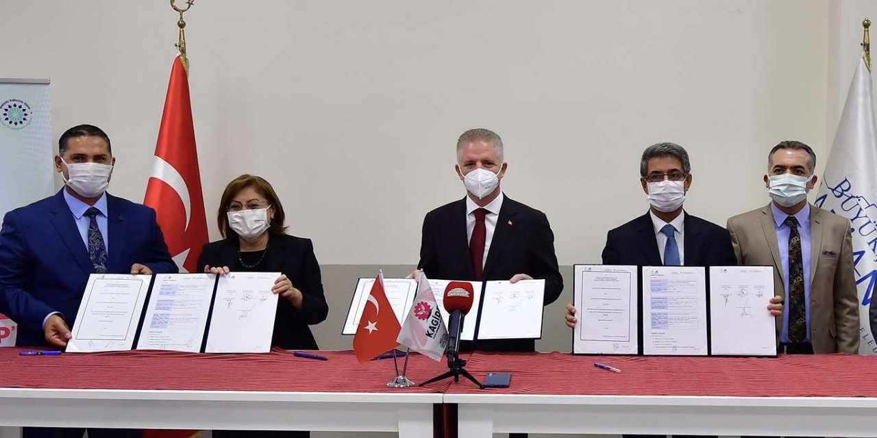 Nizip zeytinyağının markalaşma süreci başlıyor