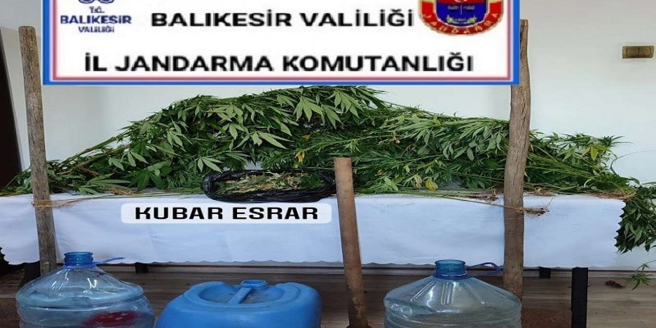 Balıkesir'de kubar esrar ele geçirildi