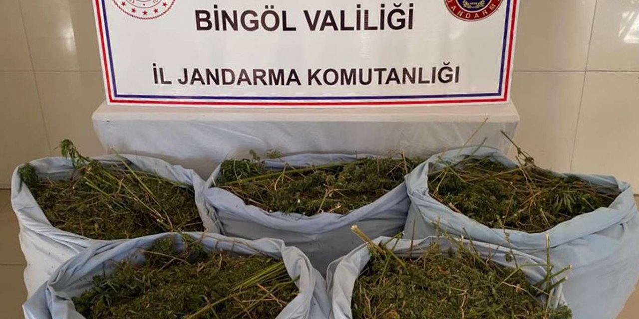 Bingöl kırsalında 78 kilo kubar esrar ele geçirildi