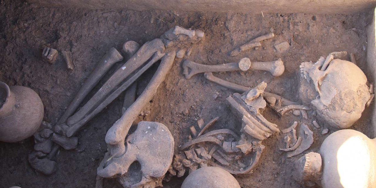 Ergani Çayönü Höyüğü'nde, 5 bin yıllık sandık tipi mezar bulundu