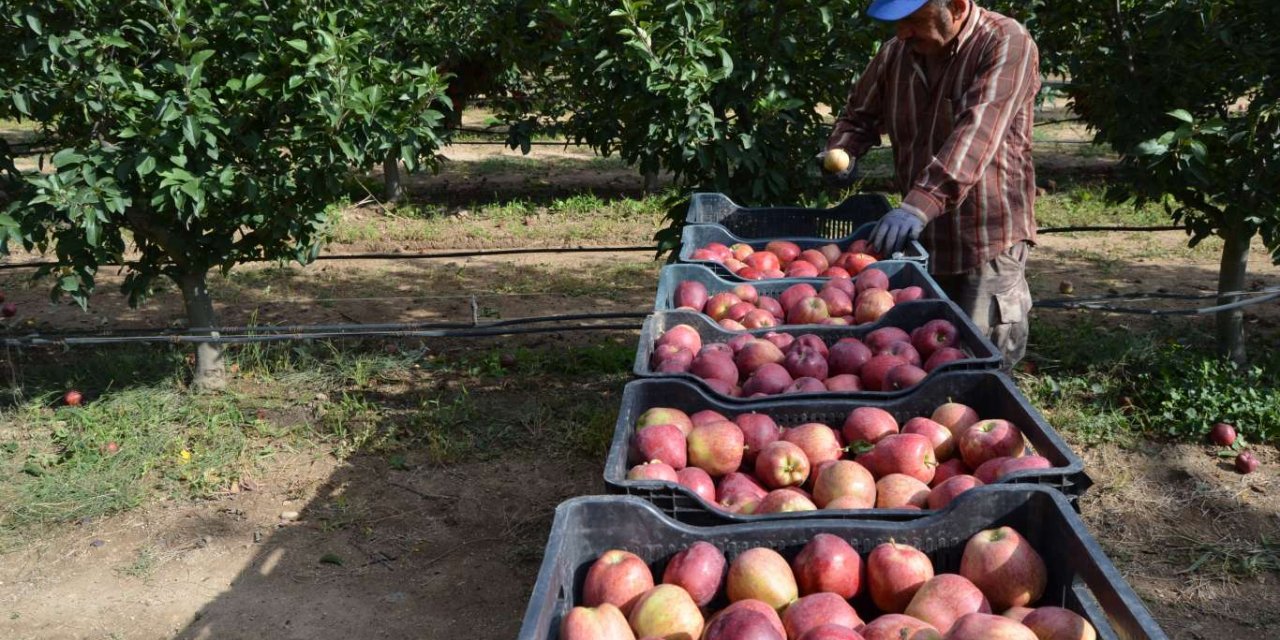 Yahyalı’da elma sezonu başladı