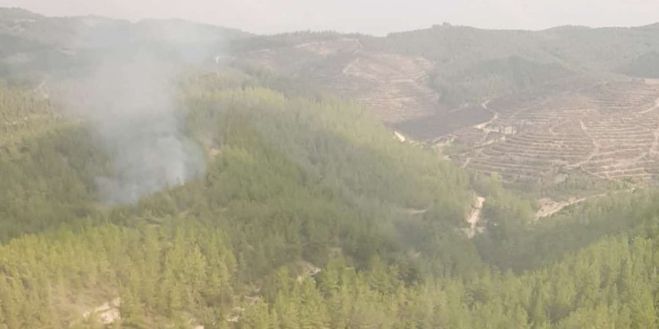 Adana'da ormanlık alanda çıkan yangın kontrol altına alındı