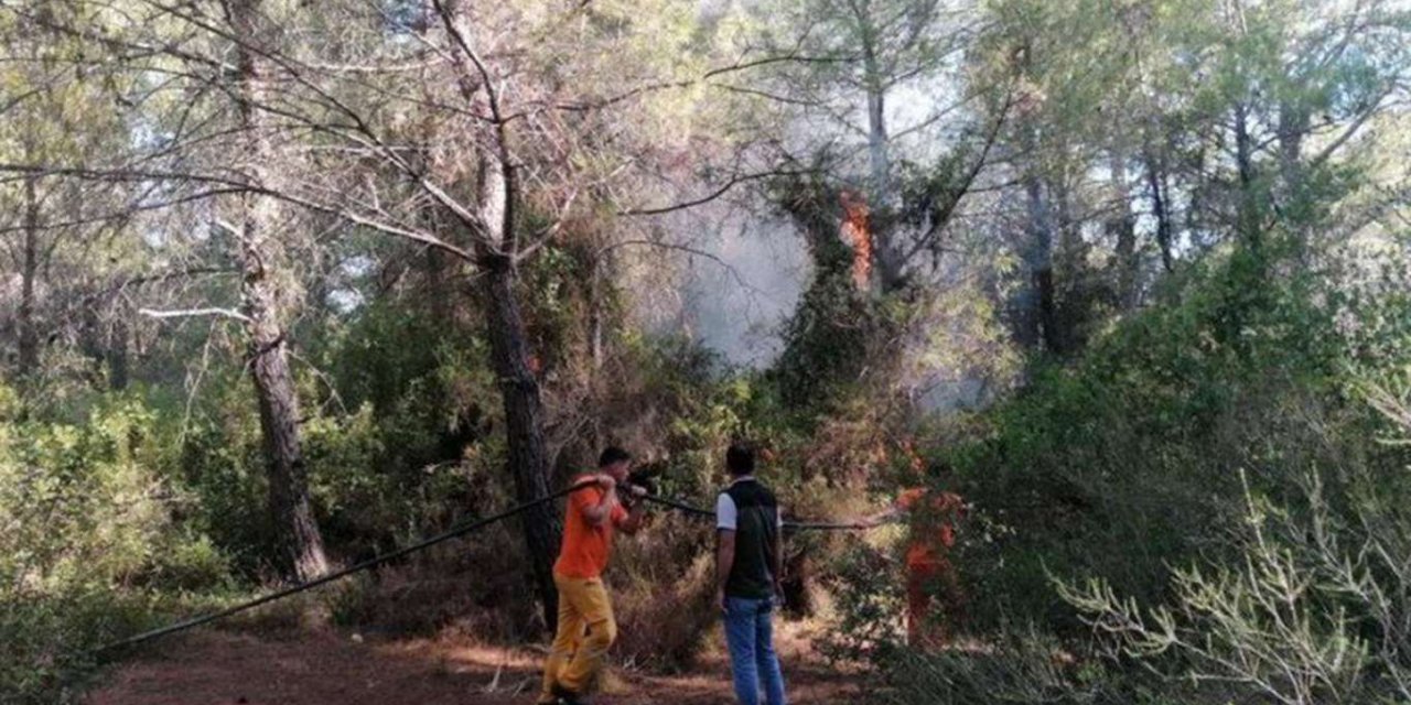 Manavgat'taki orman yangını kontrol altına alındı