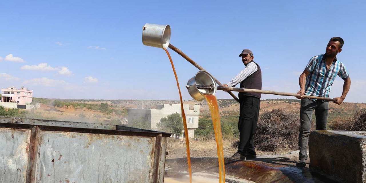 Bir asırdır geleneksel yöntemlerle üzüm pekmezi yapıyorlar