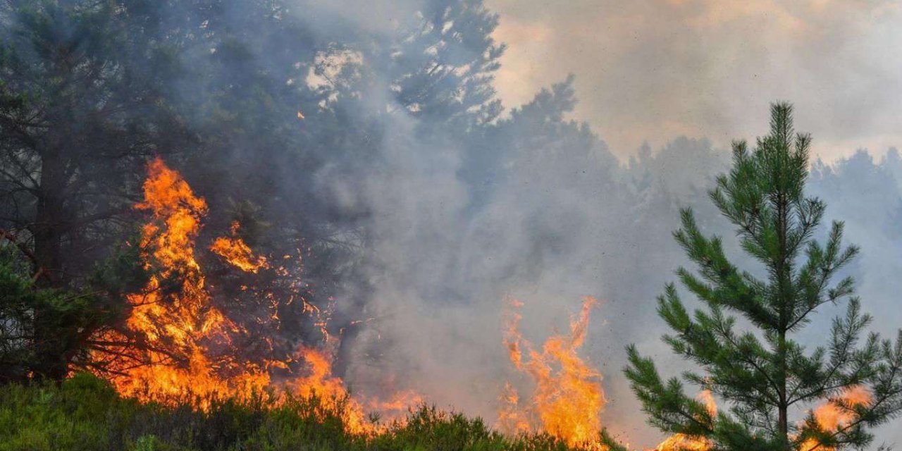Fethiye'de orman yangını