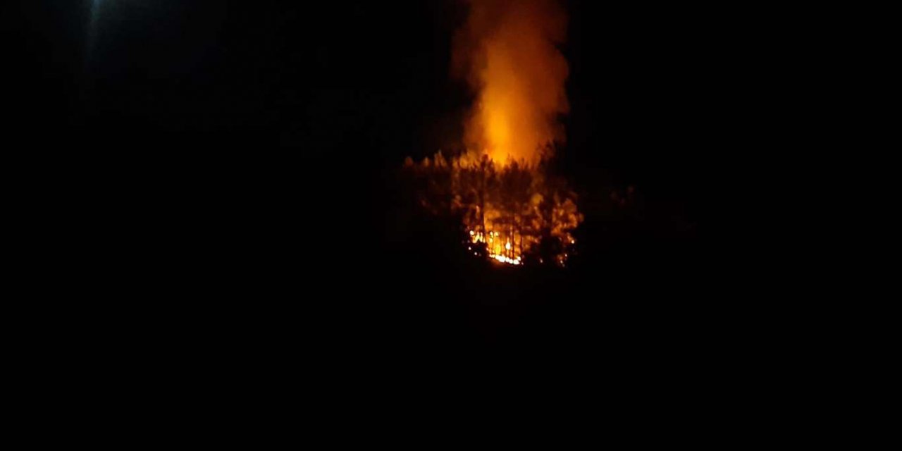 Fethiye'deki orman yangını kontrol altına alındı