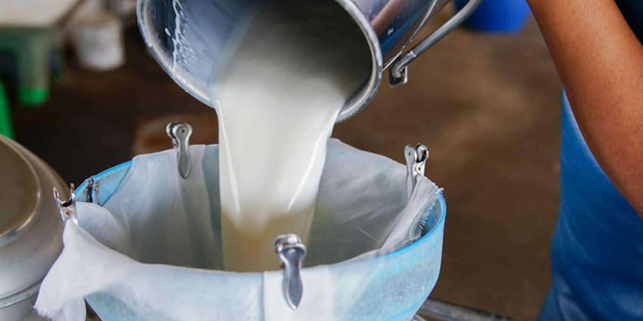 Rekor çiğ süt desteği verilecek