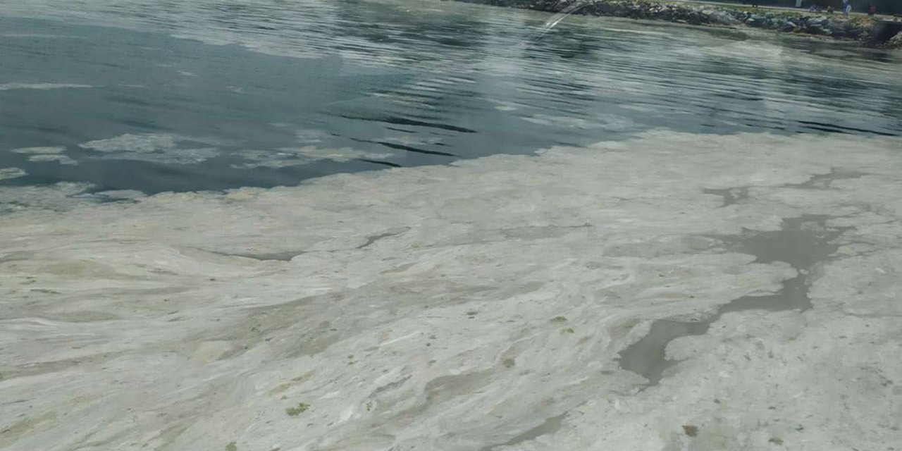 Müsilaj Sorununu Araştırma Komisyonu'nun görev süresi uzatıldı