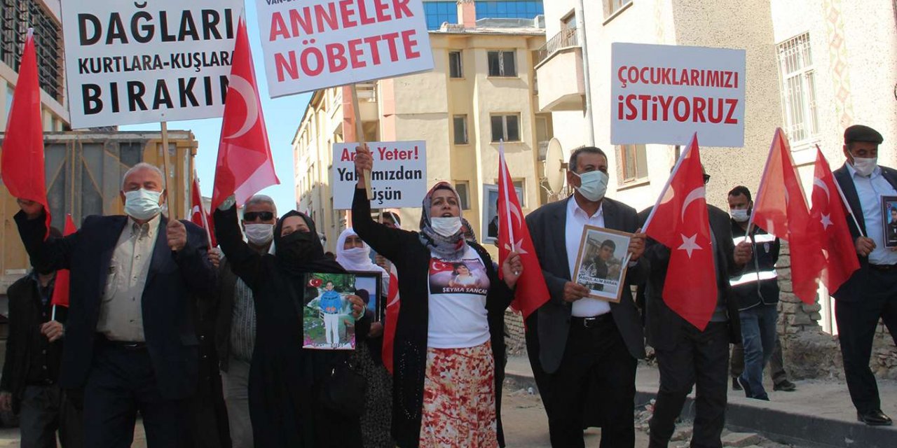 Çocuğu dağa kaçırılan anne: "Selahattin Demirtaş katildir"