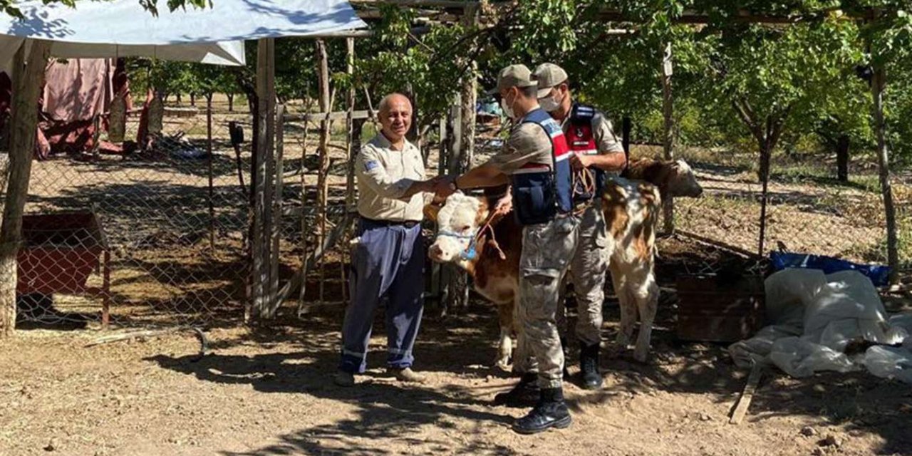Malatya’da kaybolan hayvanlar drone ile arandı