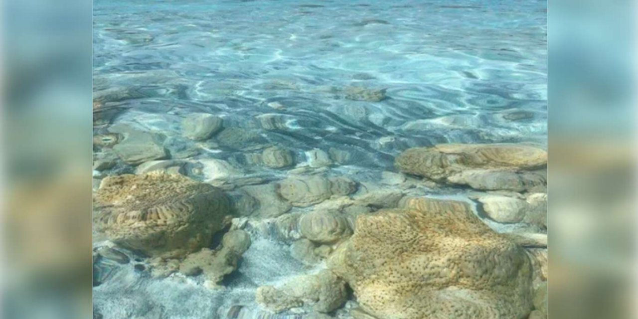 NASA, Salda Gölü ile ilgili yeni bir paylaşım yaptı