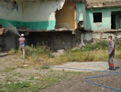 Akrep temizleme çalışması başlatıldı