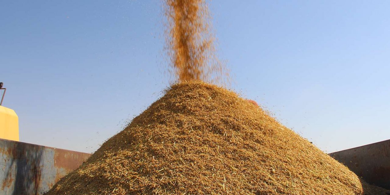 Kuraklığın etkisiyle Karacadağ pirinç fiyatları arttı