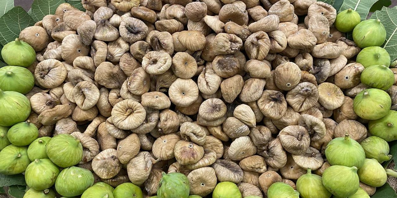 114 ülkeye kuru incir ihraç edildi