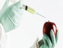 GDO`lu Ürenlere Dünya Çapında Protesto