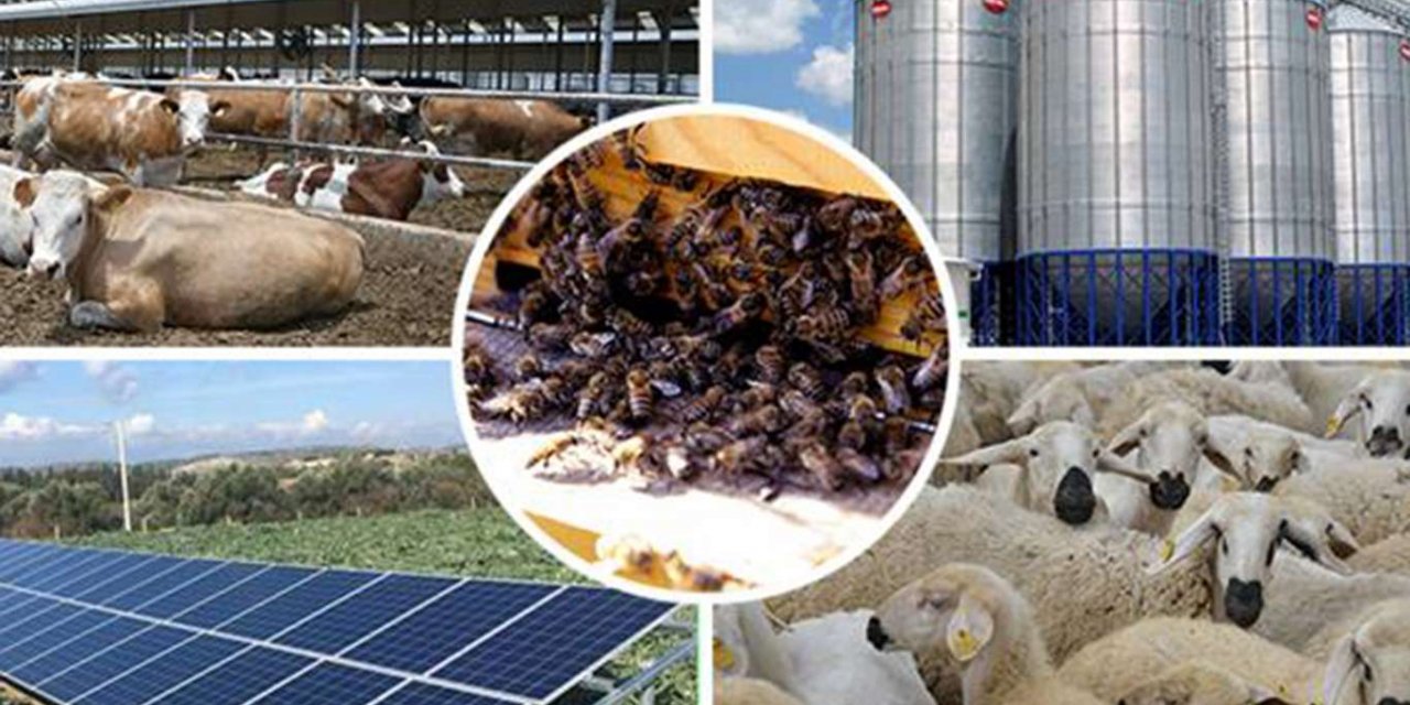 Tarım ve Orman Bakanlığı: Yarısı sizden yarısı bizden