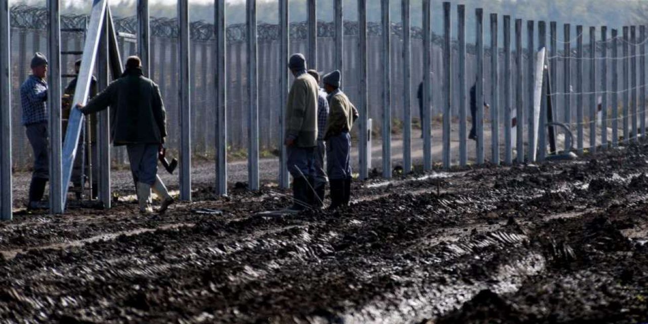 Polonya göçmen krizi nedeniyle Belarus sınırına duvar örecek