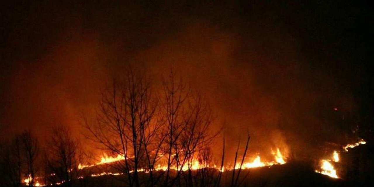 Kemer'de orman yangını