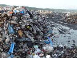 Bingöl şehir çöplüğü tehlike saçıyor video