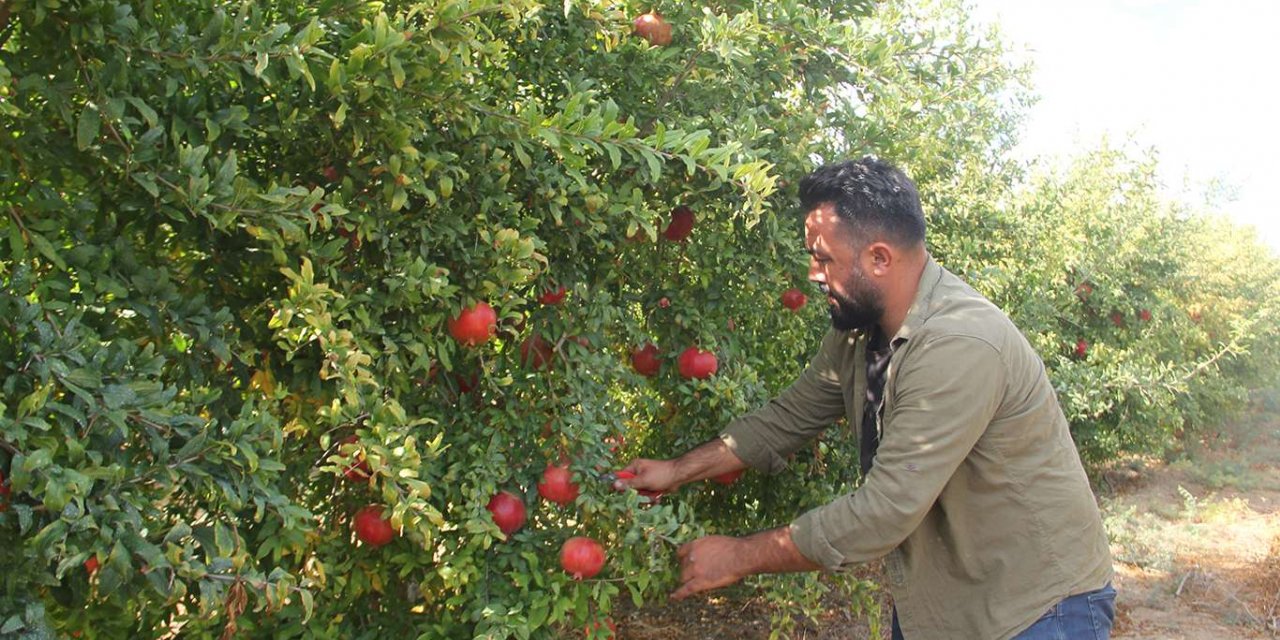 Çiftçilerden girdi maliyetlerine indirim talebi