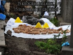 BDP`li Başkan Yardımcısı Gözaltında