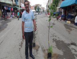 Bozuk yola dikkat çekmek için fidan dikti