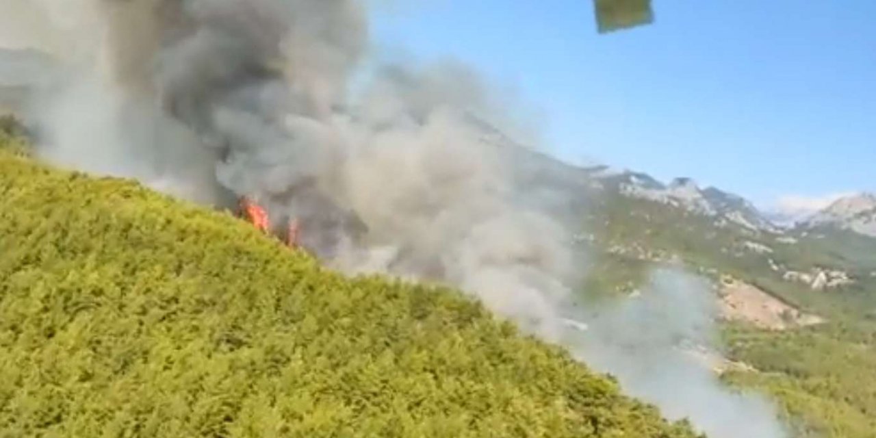 Antalya'da orman yangını