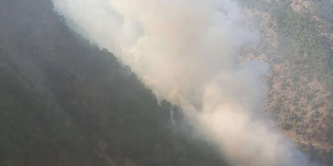 Adana'daki orman yangına havadan ve karadan müdahale ediliyor