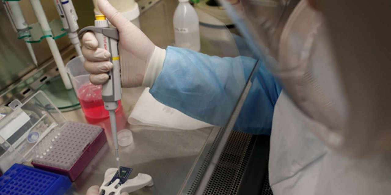 Tonga'da ilk kez Covid-19 vakası görüldü