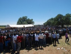 Térkan'da 300 çocuk aynı anda sünnet edildi