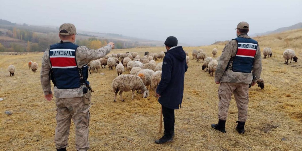 Malatya’da kaybolan onlarca koyun drone ile bulundu