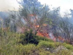 Ege'de yangın üstüne yangın!..