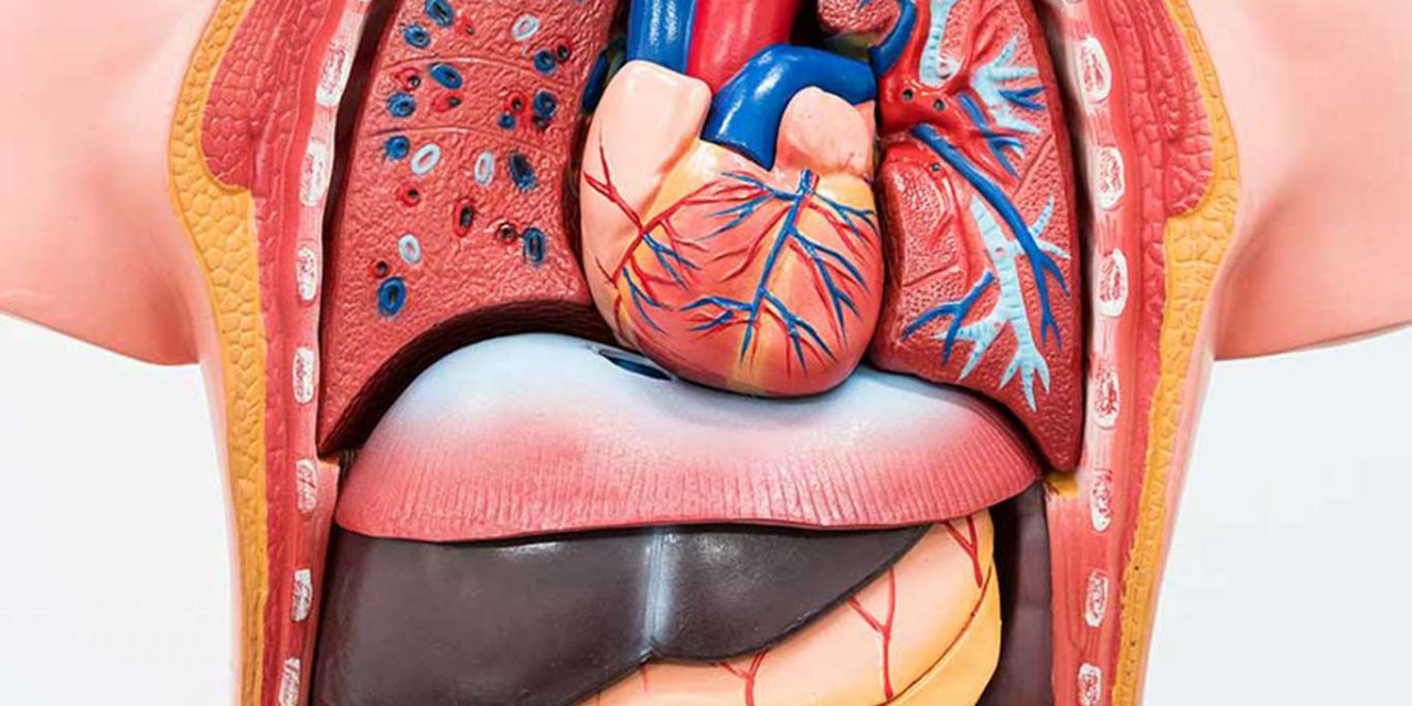 Çoklu organ yetmezliğin de erken tanı çok önem taşıyor