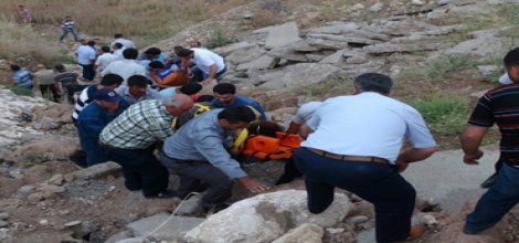 Minibüs köprüden uçtu: 8 ölü