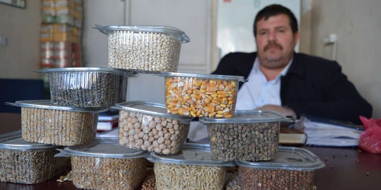 Hububatın maliyeti yükseldi, üretici ekim için kararsız