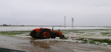 Dolu mağdurları zararlarının karşılanmasını istiyor