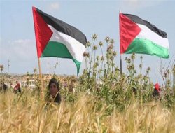 Filistinliler işgal edilen toprakların yüzde 8'inde