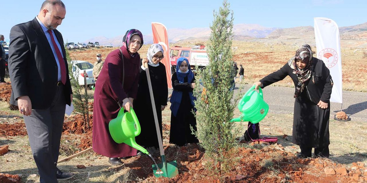 Adıyaman'da 120 bin fidan toprakla buluşturuldu