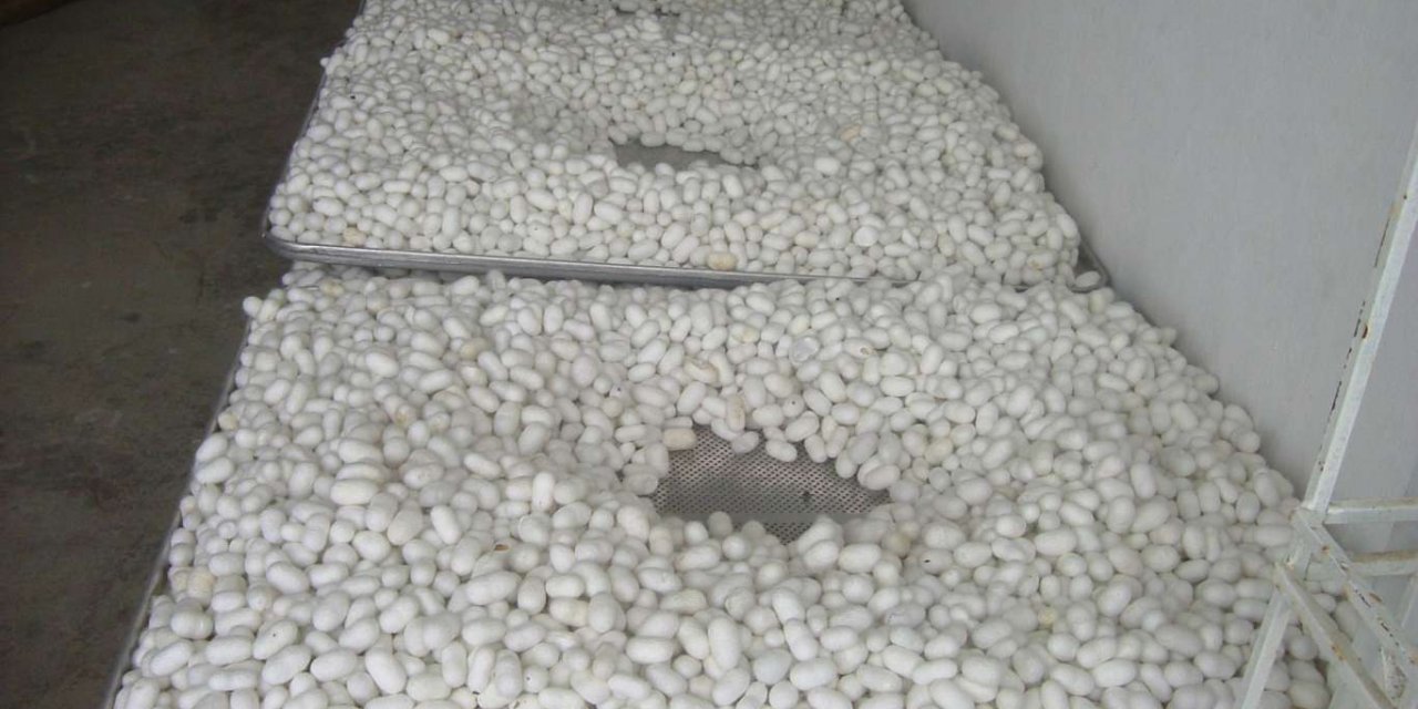 Tarım ve Orman Bakanlığı Diyarbakır'da hayvancılık üreticilerine 4 milyon destekleme ödemesi yaptı