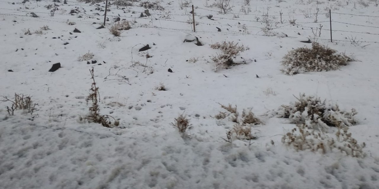 Karacadağ'da kar yağışı başladı