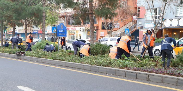 Diyarbakır Büyükşehir Belediyesi, 210 bin lale soğanını toprakla buluşturuyor
