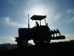 Mirasla arazi bölünmesine son