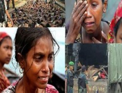 Li Myanmarê Wehşeta Bûdîstan